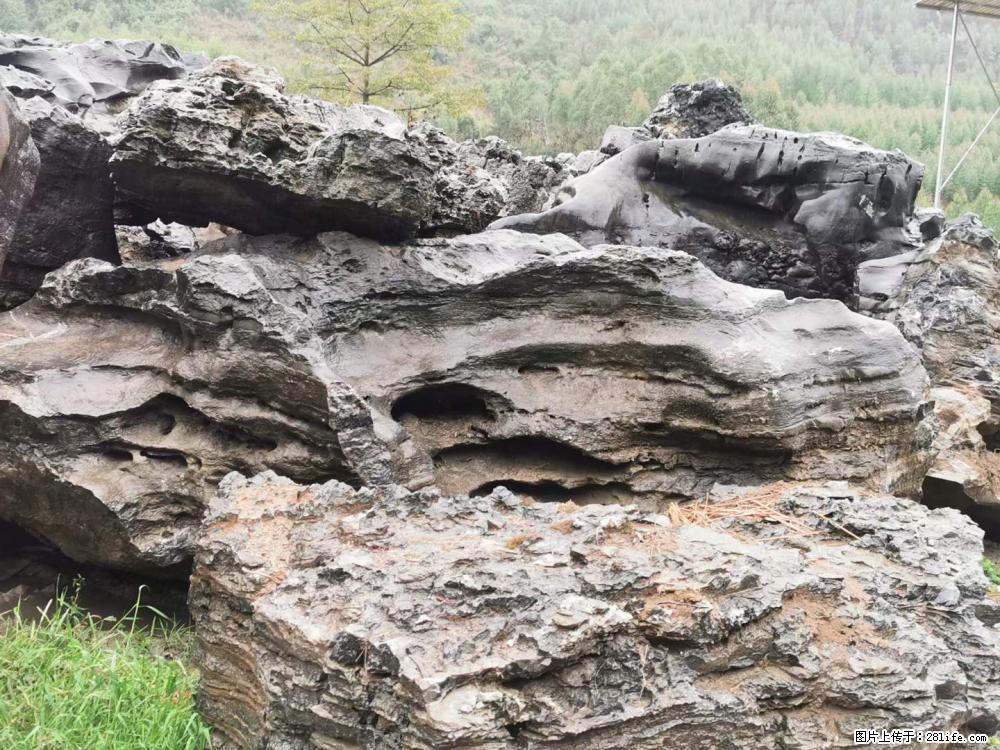 风景石、假山石大量有货,有需要的欢迎联系 - 新手上路 - 茂名生活社区 - 茂名28生活网 mm.28life.net