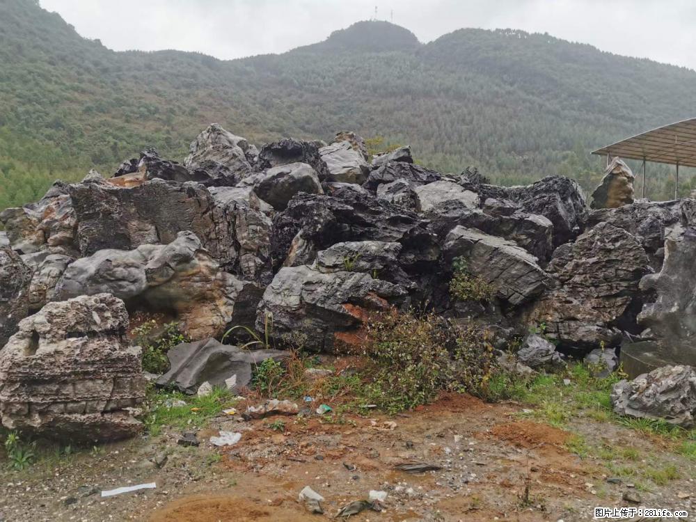 风景石、假山石大量有货,有需要的欢迎联系 - 新手上路 - 茂名生活社区 - 茂名28生活网 mm.28life.net