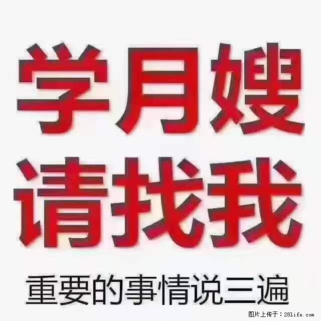 为什么要学习月嫂，育婴师？ - 其他广告 - 广告专区 - 茂名分类信息 - 茂名28生活网 mm.28life.net