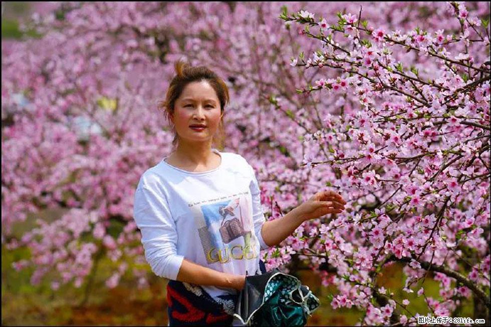 【春天，广西桂林灌阳县向您发出邀请！】官庄村有个醉美的桃花园 - 游山玩水 - 茂名生活社区 - 茂名28生活网 mm.28life.net