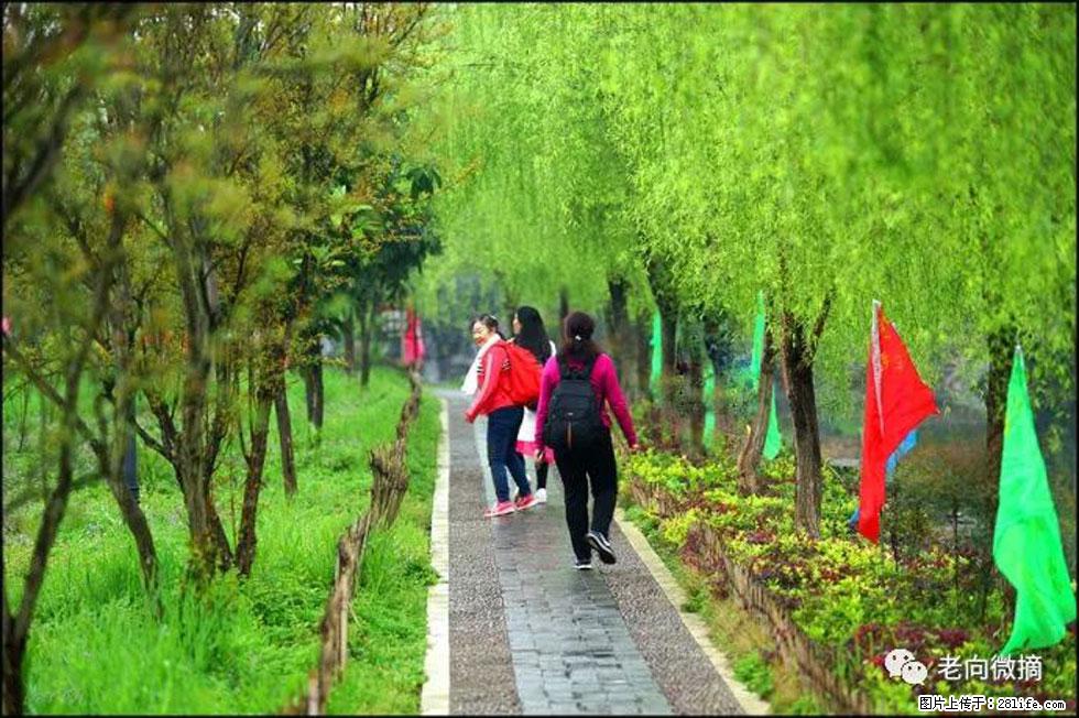 【春天，广西桂林灌阳县向您发出邀请！】江口老街又逢春 - 游山玩水 - 茂名生活社区 - 茂名28生活网 mm.28life.net