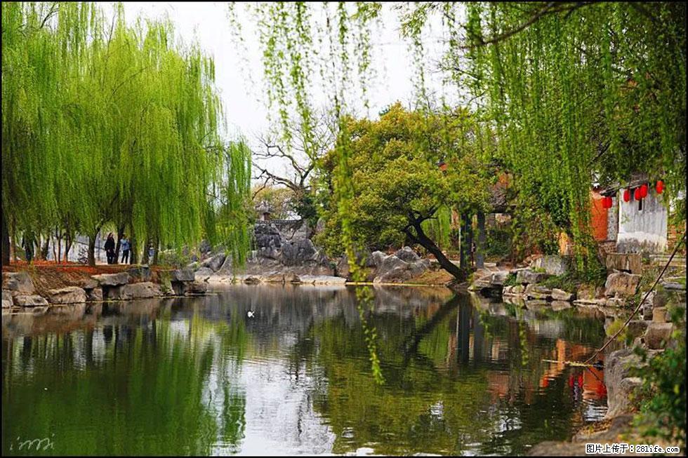 【春天，广西桂林灌阳县向您发出邀请！】江口老街又逢春 - 游山玩水 - 茂名生活社区 - 茂名28生活网 mm.28life.net