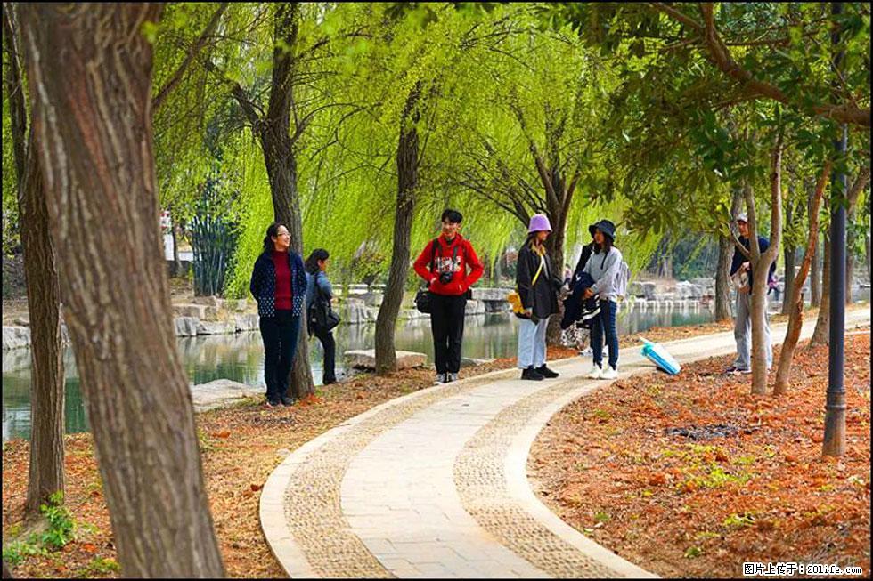 【春天，广西桂林灌阳县向您发出邀请！】江口老街又逢春 - 游山玩水 - 茂名生活社区 - 茂名28生活网 mm.28life.net