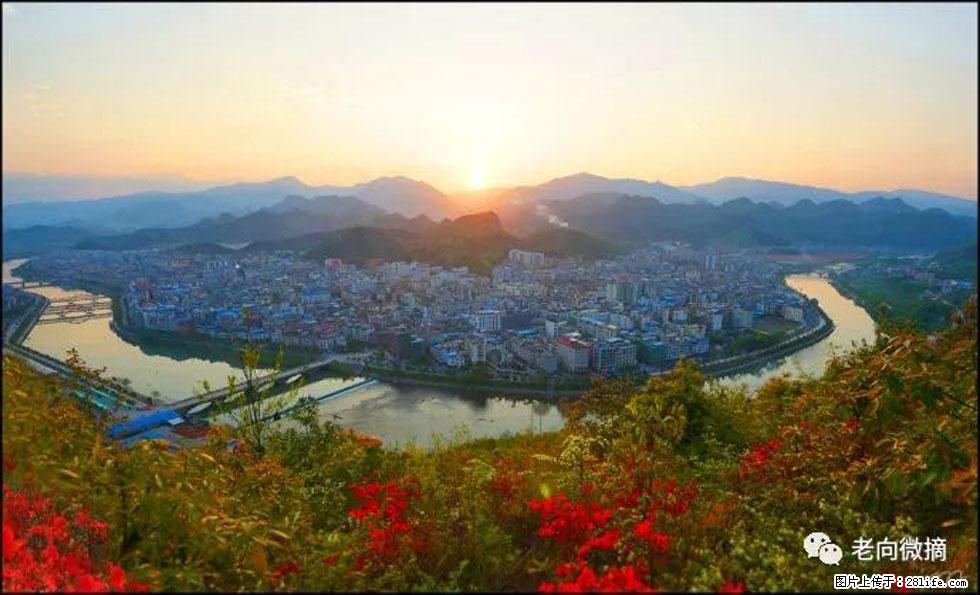 【春天，广西桂林灌阳县向您发出邀请！】登麒麟山，相约映山红 - 游山玩水 - 茂名生活社区 - 茂名28生活网 mm.28life.net