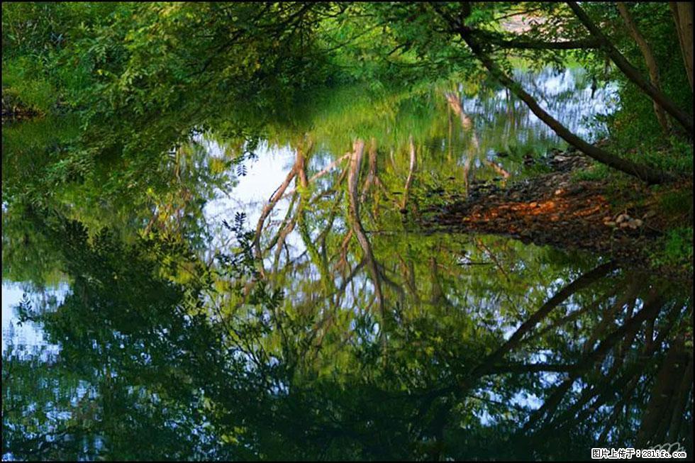 【春天，广西桂林灌阳县向您发出邀请！】熊家寨湿地公园 - 游山玩水 - 茂名生活社区 - 茂名28生活网 mm.28life.net