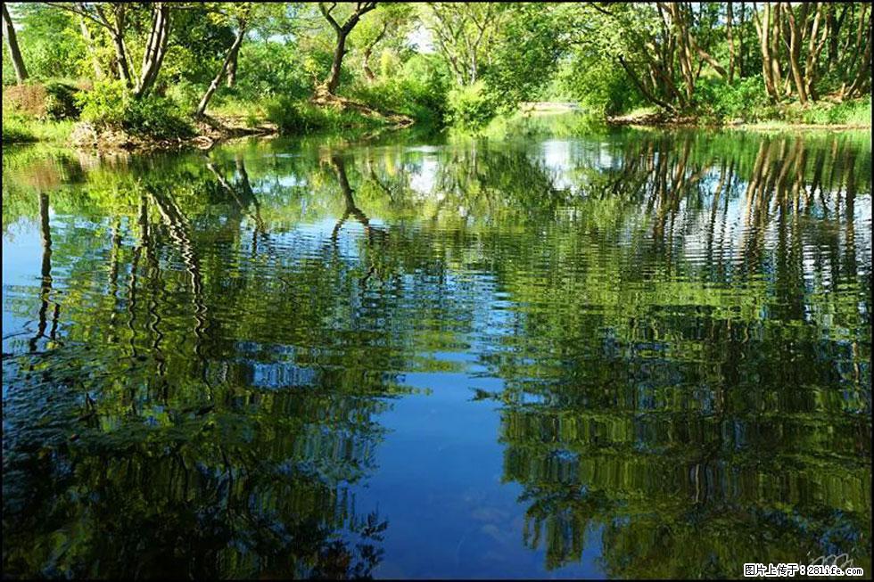 【春天，广西桂林灌阳县向您发出邀请！】熊家寨湿地公园 - 游山玩水 - 茂名生活社区 - 茂名28生活网 mm.28life.net