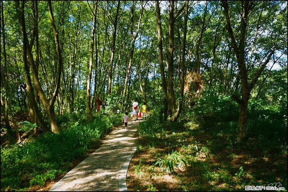 【春天，广西桂林灌阳县向您发出邀请！】熊家寨湿地公园 - 游山玩水 - 茂名生活社区 - 茂名28生活网 mm.28life.net