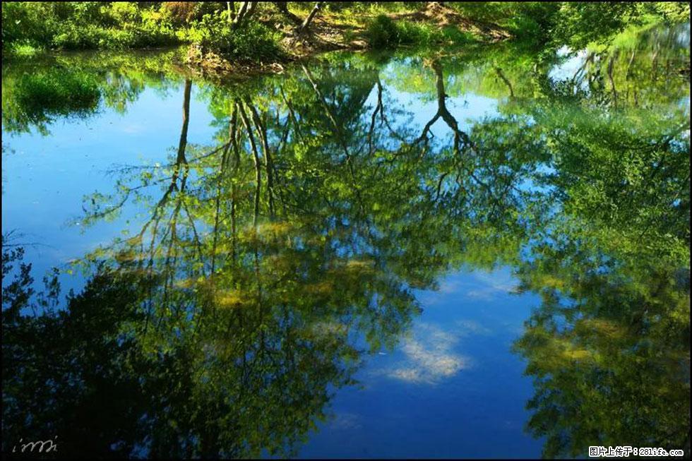 【春天，广西桂林灌阳县向您发出邀请！】熊家寨湿地公园 - 游山玩水 - 茂名生活社区 - 茂名28生活网 mm.28life.net