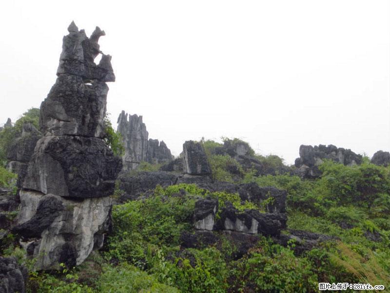 桂林旅游名城景点：灌阳文市石林 - 游山玩水 - 茂名生活社区 - 茂名28生活网 mm.28life.net