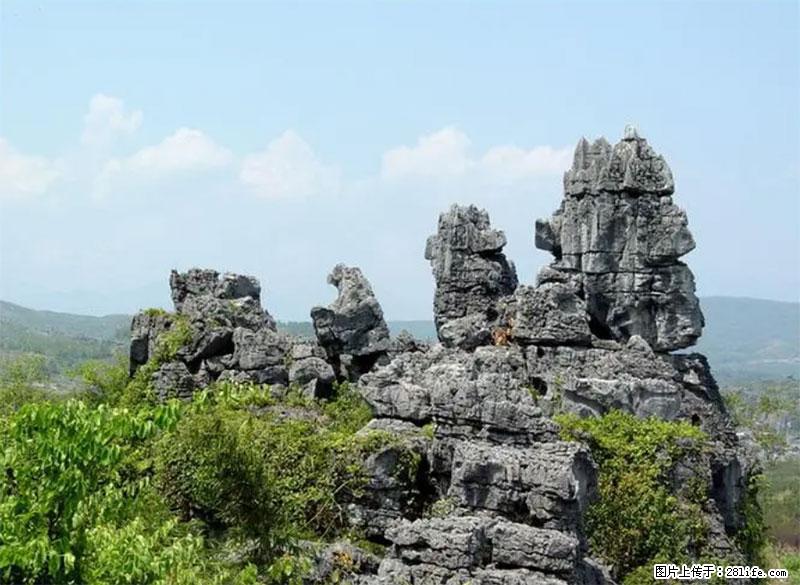 桂林旅游名城景点：灌阳文市石林 - 游山玩水 - 茂名生活社区 - 茂名28生活网 mm.28life.net