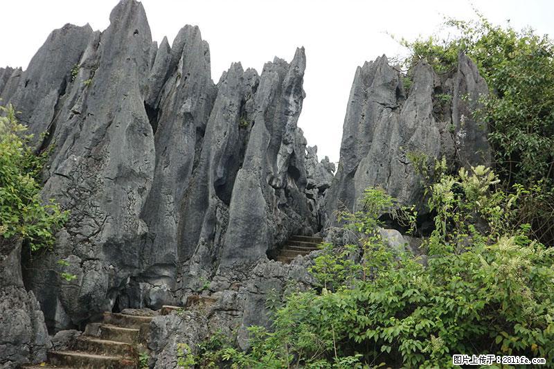 桂林旅游名城景点：灌阳文市石林 - 游山玩水 - 茂名生活社区 - 茂名28生活网 mm.28life.net