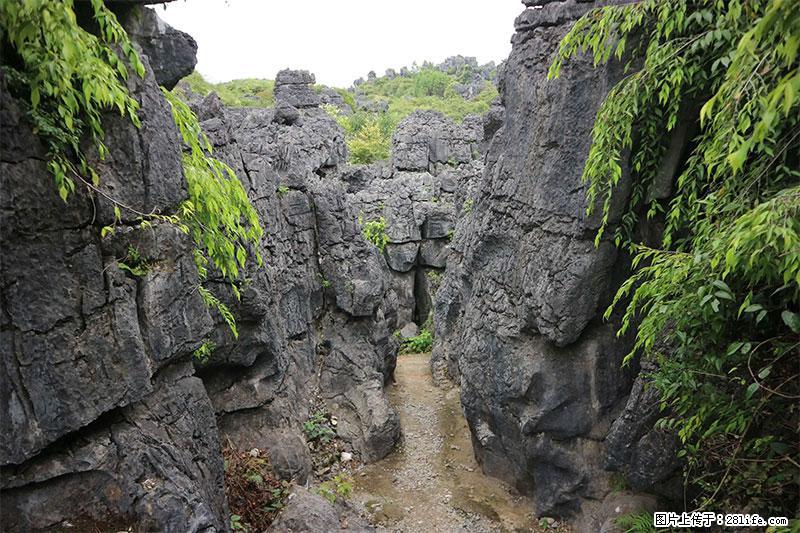 桂林旅游名城景点：灌阳文市石林 - 游山玩水 - 茂名生活社区 - 茂名28生活网 mm.28life.net