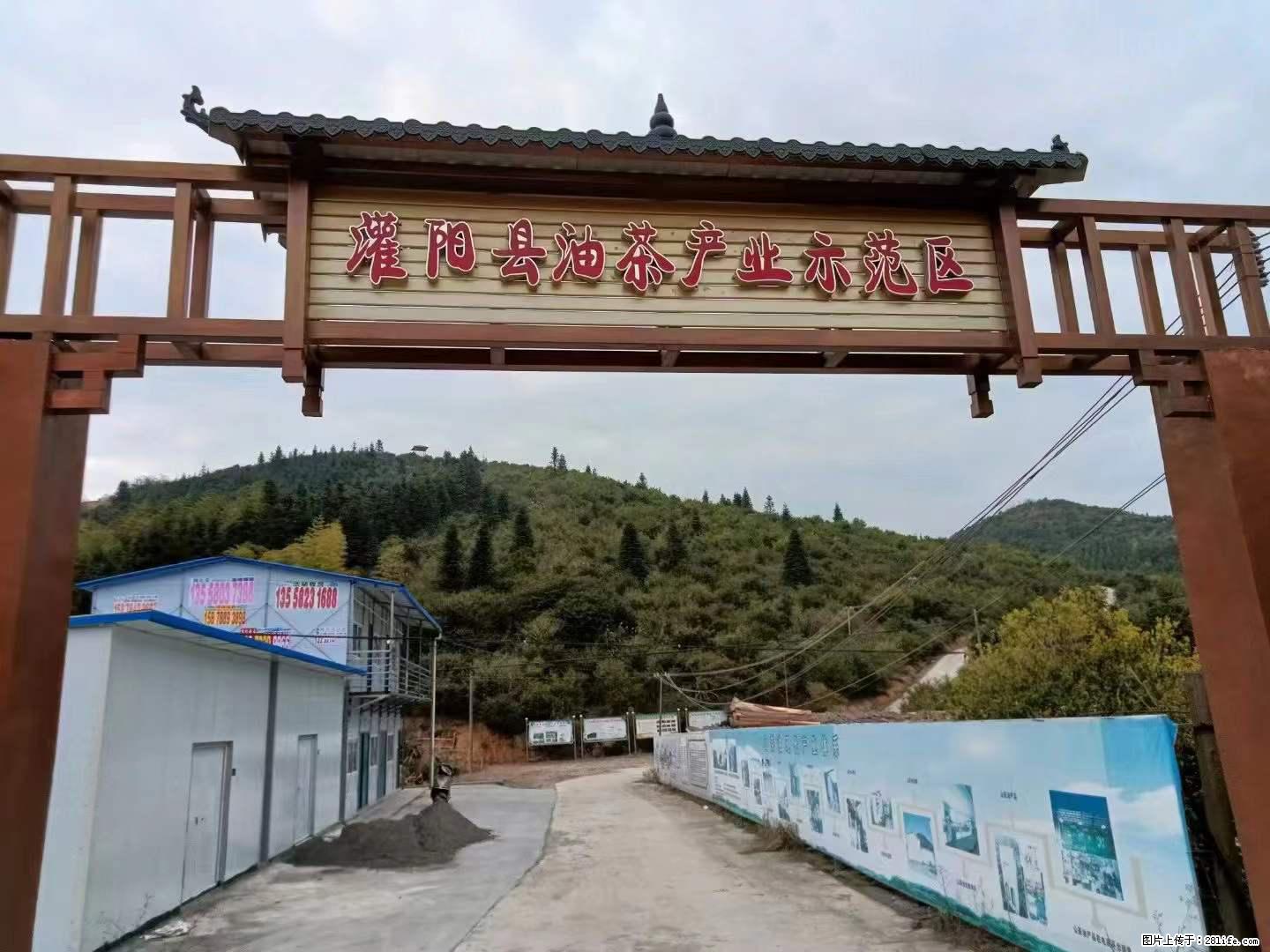 【灌阳县油茶产业示范区】一个有着充实的精神生活的人，对待身外之物自会有一种淡泊的态度 - 美食天地 - 茂名生活社区 - 茂名28生活网 mm.28life.net
