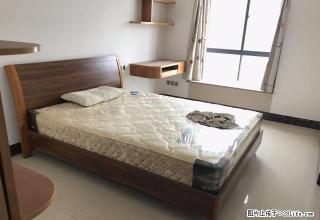 开发区电梯房 精致装修 业主自住房 第.一次出租 - 茂名28生活网 mm.28life.net