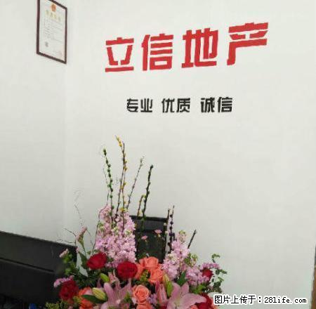 乙烯一区，十七小、十五中学位房，周边生活设施，配套齐全。 - 房屋出租 - 房屋租售 - 茂名分类信息 - 茂名28生活网 mm.28life.net