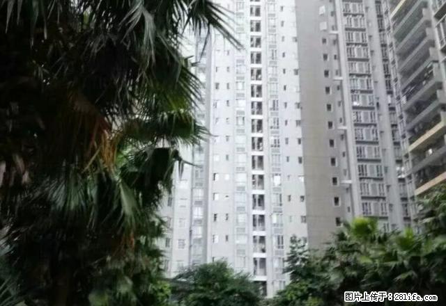 双山一路金色家园22楼2房1厅精装修配家私电1600元/月 - 房屋出租 - 房屋租售 - 茂名分类信息 - 茂名28生活网 mm.28life.net