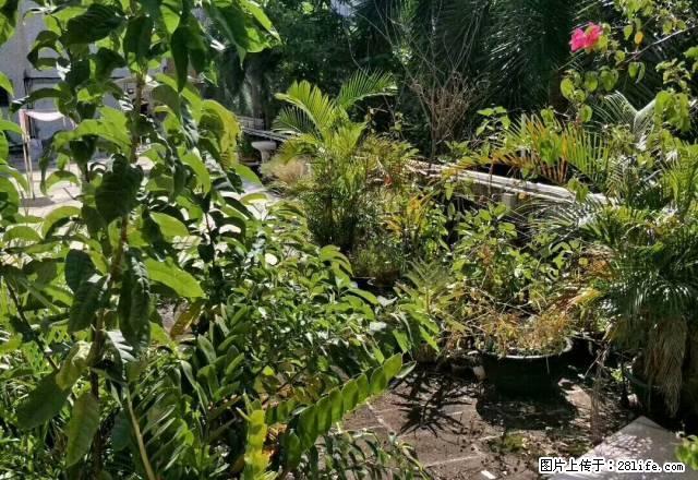 文光整栋别墅 仅租9000元/月 - 房屋出租 - 房屋租售 - 茂名分类信息 - 茂名28生活网 mm.28life.net