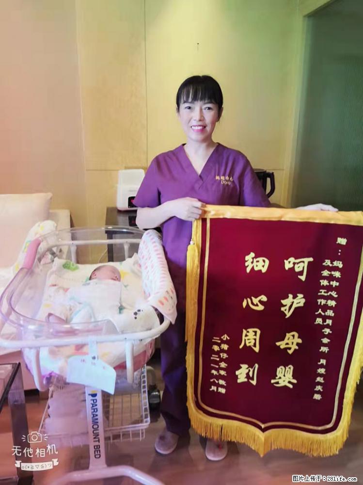 上海高端月子会所招新手月嫂，零基础带教，包吃住 - 职场交流 - 茂名生活社区 - 茂名28生活网 mm.28life.net
