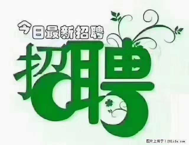 【招聘摄像师】待遇：试用期6000元/月，转正7000元/月+五险一金+餐补+节日福利+奖金 - 其他招聘信息 - 招聘求职 - 茂名分类信息 - 茂名28生活网 mm.28life.net