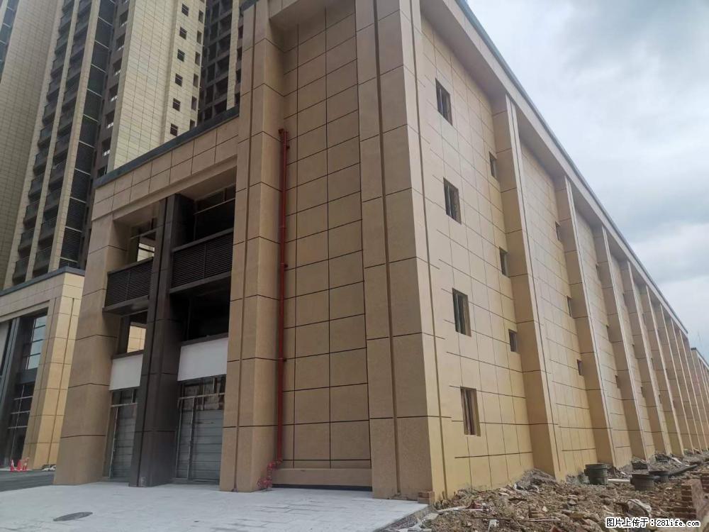 【广西三象建筑安装工程有限公司】外墙涂料工程 - 新手上路 - 茂名生活社区 - 茂名28生活网 mm.28life.net