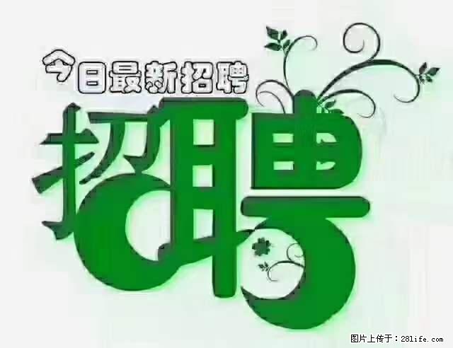 上海隔离酒店招人：55岁以下 男女不限 - 职场交流 - 茂名生活社区 - 茂名28生活网 mm.28life.net