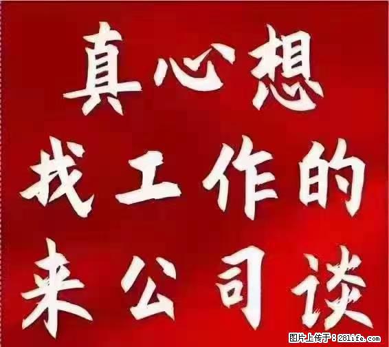 【上海】国企，医院招两名男保安，55岁以下，身高1.7米以上，无犯罪记录不良嗜好 - 职场交流 - 茂名生活社区 - 茂名28生活网 mm.28life.net