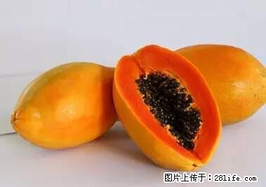 晕车、脚气、牙齿变黄、皮肤粗糙？学会这些三分钟搞定！ - 茂名生活资讯 - 茂名28生活网 mm.28life.net