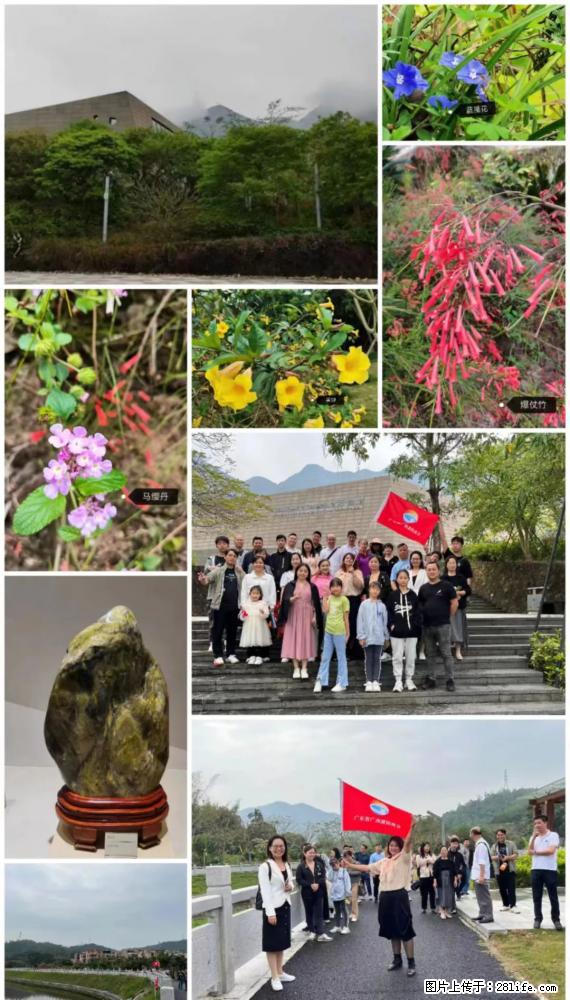 “粤灌文化 美好生活”油茶文化主题活动在广东深圳成功举办 - 茂名生活资讯 - 茂名28生活网 mm.28life.net