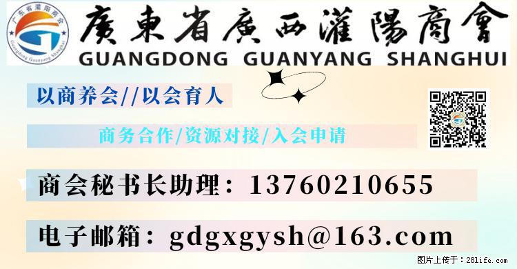 “粤灌文化 美好生活”油茶文化主题活动在广东深圳成功举办 - 茂名生活资讯 - 茂名28生活网 mm.28life.net