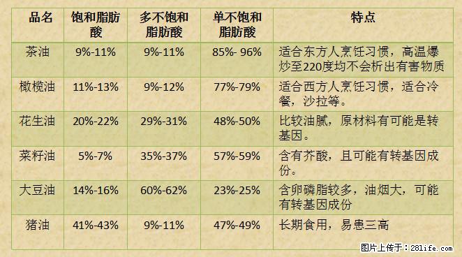 揭秘茶油的5大核心营养成分！被称为人体健康的“守护盾”！ - 茂名生活资讯 - 茂名28生活网 mm.28life.net