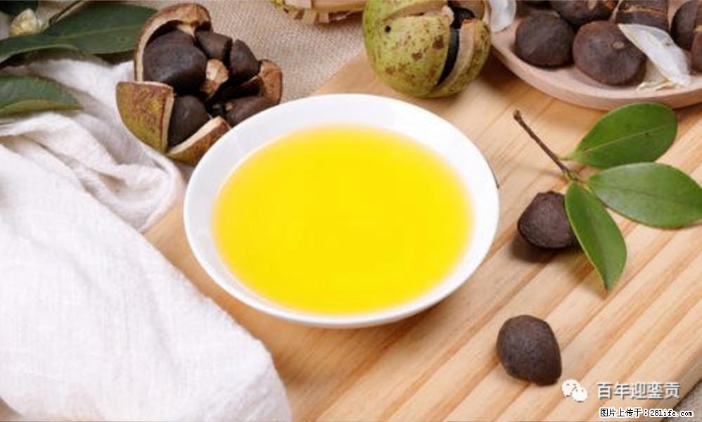 揭秘茶油的5大核心营养成分！被称为人体健康的“守护盾”！ - 茂名生活资讯 - 茂名28生活网 mm.28life.net