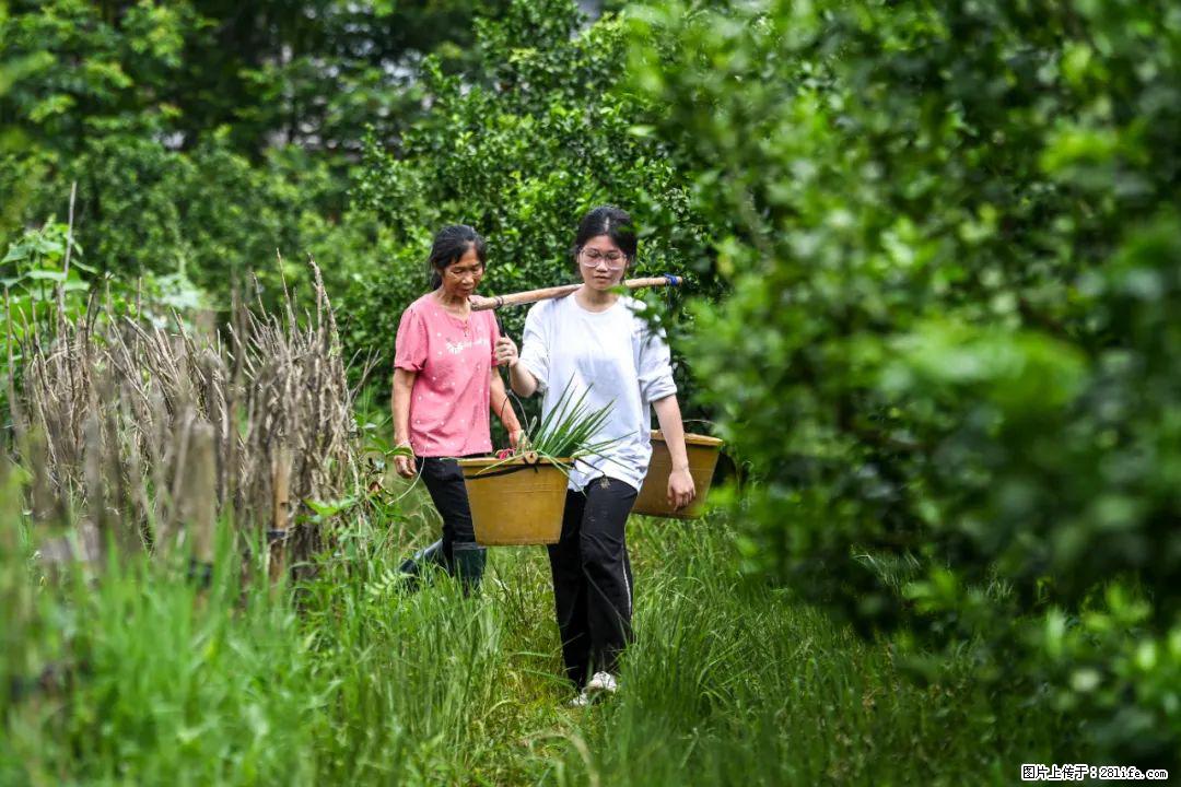 全网追的“扁担女孩”，找了一份暑假工，时薪12元 - 茂名生活资讯 - 茂名28生活网 mm.28life.net