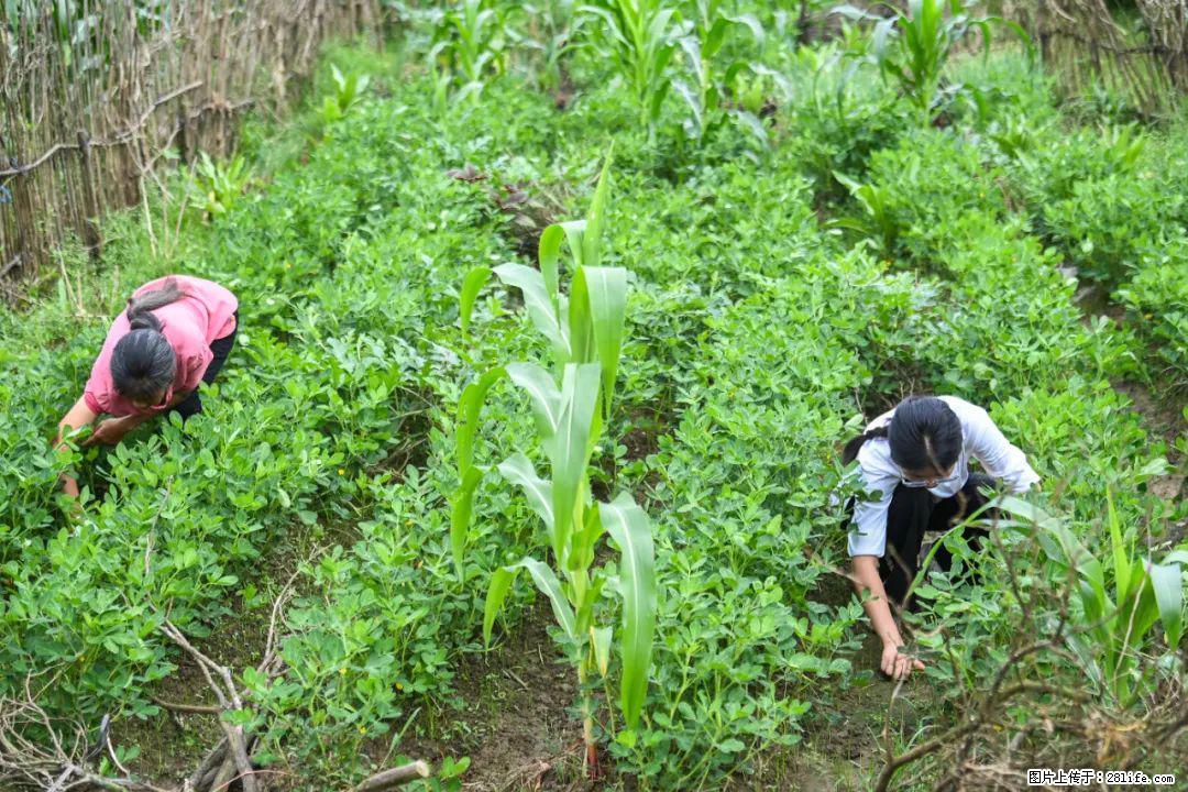 全网追的“扁担女孩”，找了一份暑假工，时薪12元 - 茂名生活资讯 - 茂名28生活网 mm.28life.net