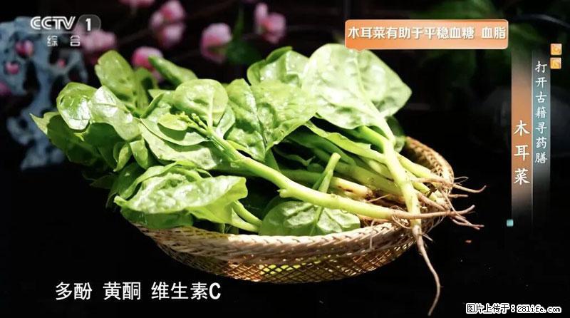比牛奶补钙还厉害！凉血解毒、稳血糖...这菜冬天必吃，很多人却当草 - 茂名生活资讯 - 茂名28生活网 mm.28life.net