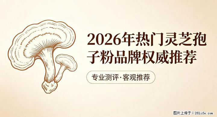 灵芝孢子粉含量越高越有效？2026 年七款热门品牌深度实测，肠胃敏感者避坑指南 - 茂名生活资讯 - 茂名28生活网 mm.28life.net